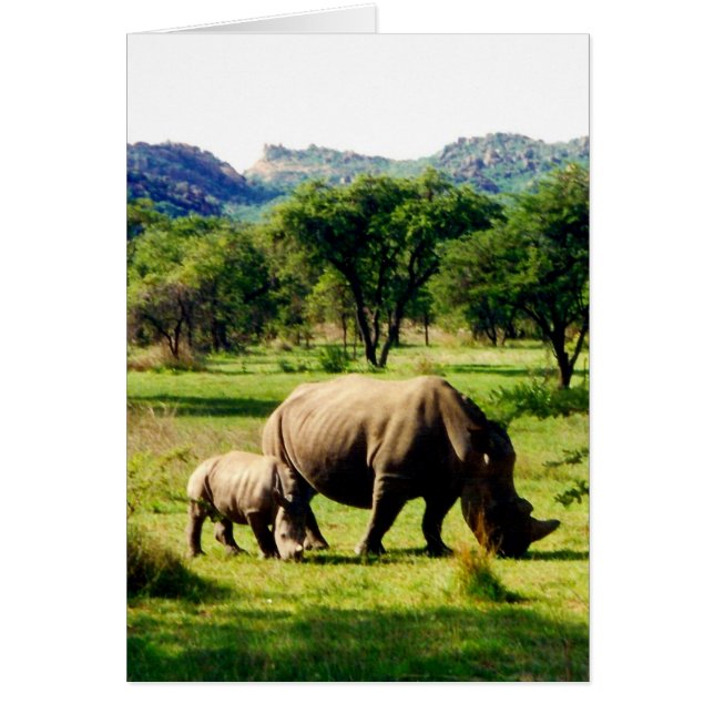 rhinos hälsningskort (Framsidan)