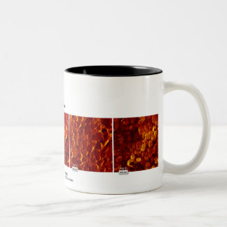 RHK-teknologi - Oktober 2007 avbildar av månaden Två-Tonad Mugg