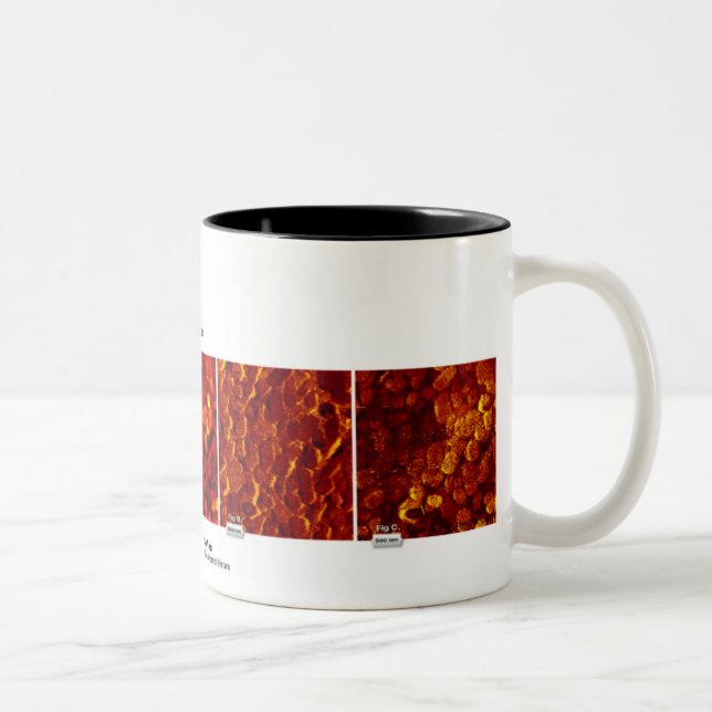 RHK-teknologi - Oktober 2007 avbildar av månaden Två-Tonad Mugg (Höger)