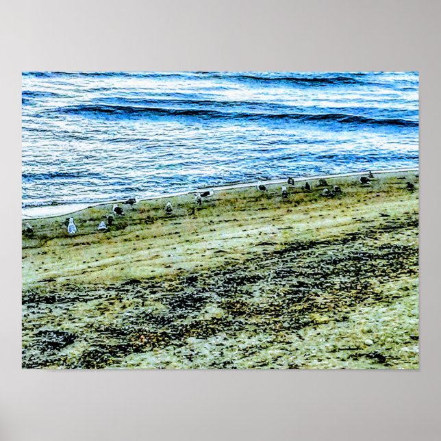 Rhode Island Beach Landscape Photo Poster (Framsidan)