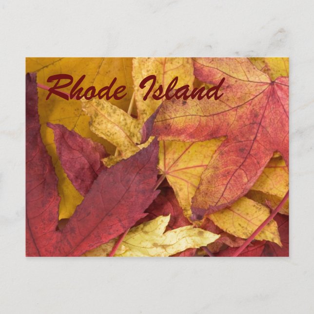 Rhode Island höstlöv vykort (Framsida)