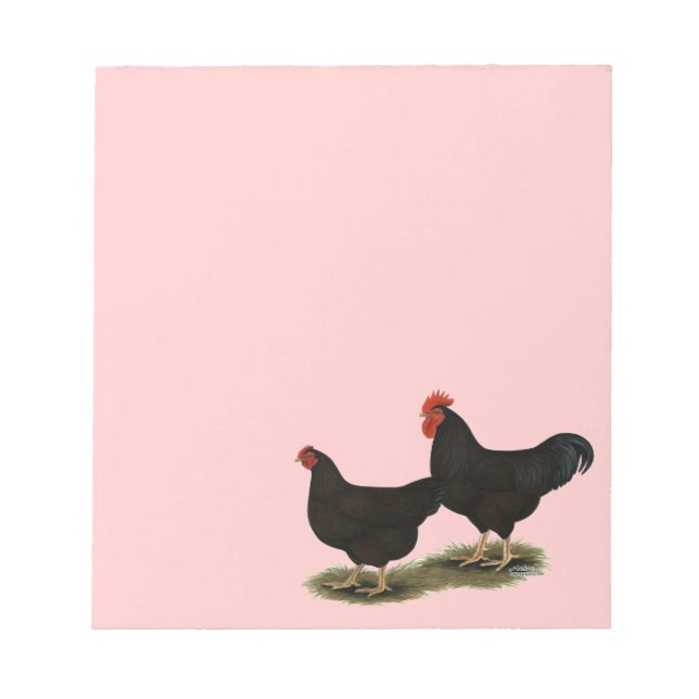 Rhode island Red Bantams Anteckningsblock (Framsida)