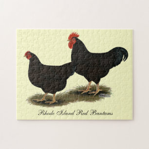 Rhode island Red Bantams Pussel