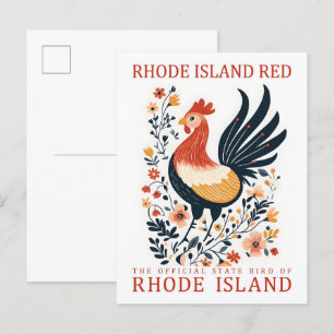 Rhode island Red Bird of Rhode island Travel Vykort
