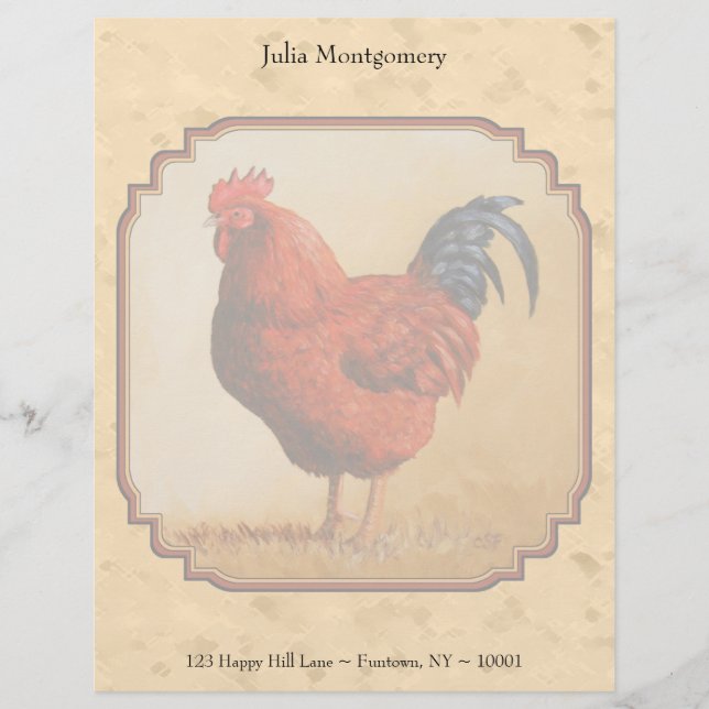 Rhode island Red Chicken Beige Brevhuvud (Framsida)