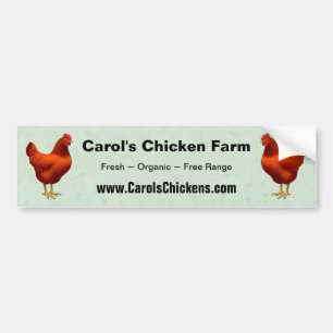 Rhode island Red Hen Bildekal