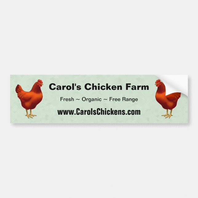 Rhode island Red Hen Bildekal (Framsidan)
