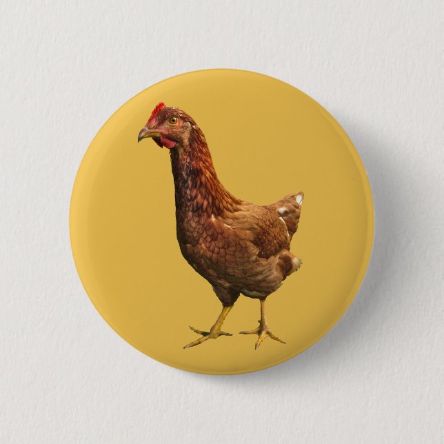 Rhode island Red Hen Chicken Button Knapp (Framsida)