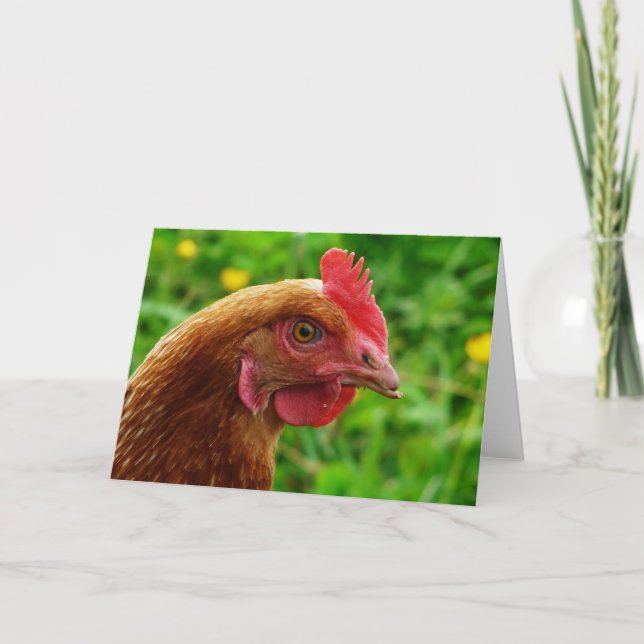Rhode island Red Hen Kort (Framsida)