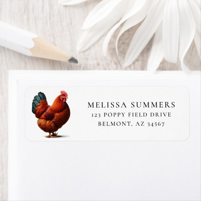 Rhode Island Red Höna Returadress Etikett (Insitu)