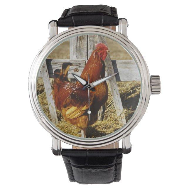 Rhode island Red Tupp Armbandsur (Framsida)