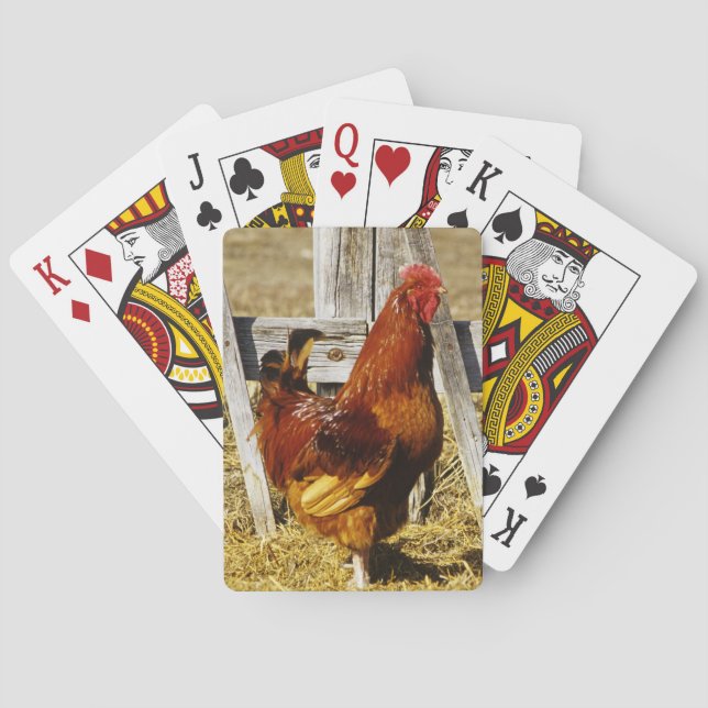 Rhode island Red Tupp Casinokort (Baksidan)