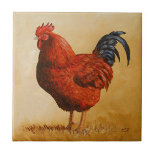 Rhode island Red Tupp Chicken Kakelplatta