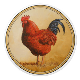 Rhode island Red Tupp Chicken Knopp