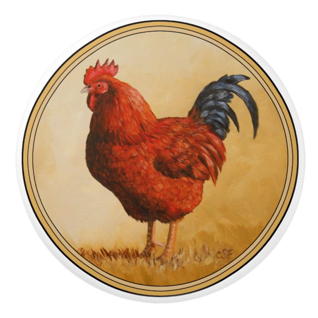 Rhode island Red Tupp Chicken Knopp (Framsidan)