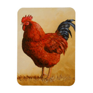 Rhode island Red Tupp Chicken Magnet