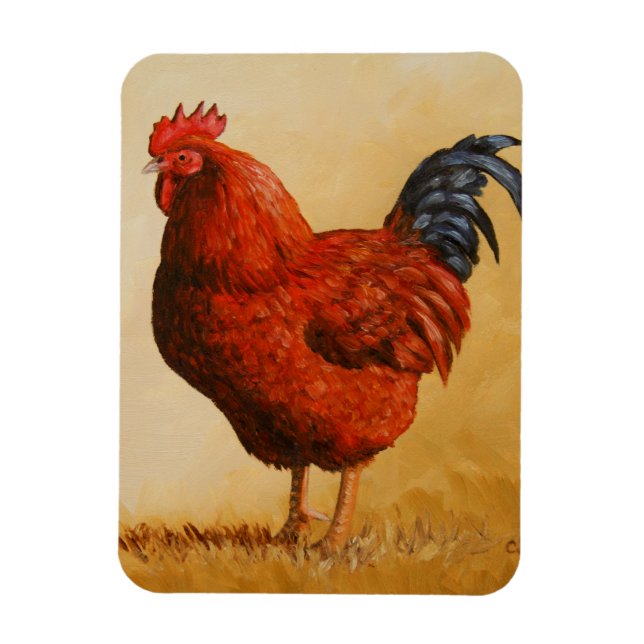 Rhode island Red Tupp Chicken Magnet (Vertikal)