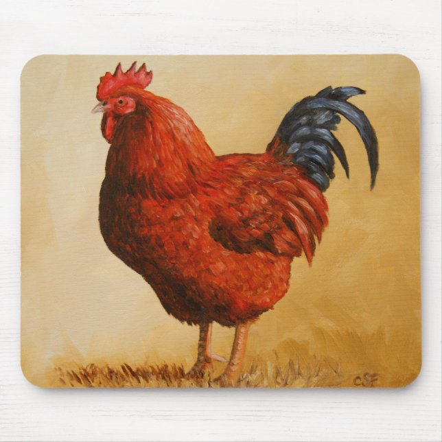 Rhode island Red Tupp Chicken Musmatta (Framsidan)