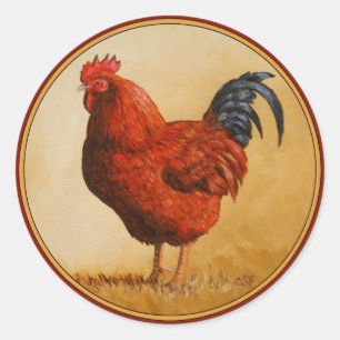 Rhode island Red Tupp Chicken Runt Klistermärke