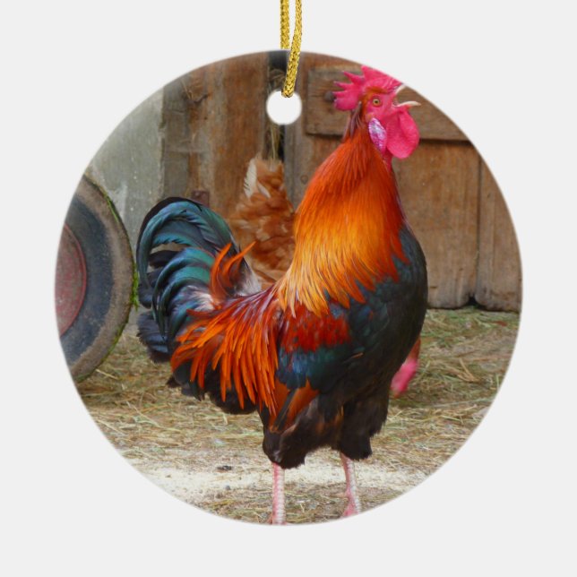 Rhode island Red Tupp Crowing in Barnyard Julgransprydnad Keramik (Framsidan)