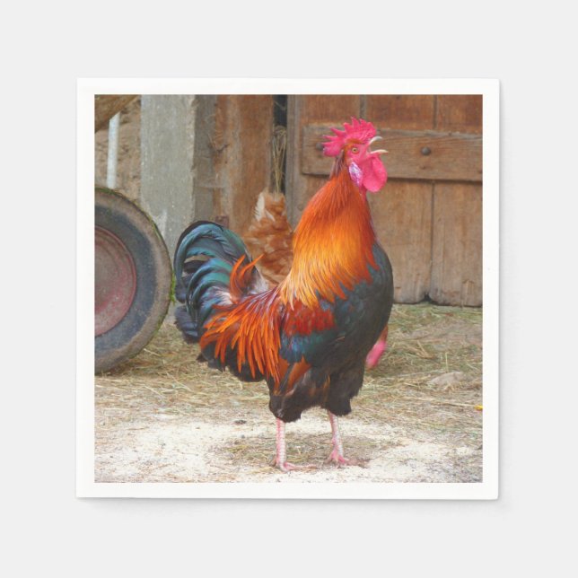 Rhode island Red Tupp Crowing in Barnyard Pappersservett (Framsidan)