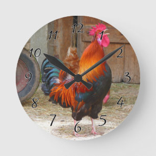 Rhode island Red Tupp Crowing in Barnyard Rund Klocka