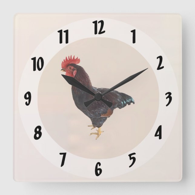 Rhode island Red Tupp Fyrkantig Klocka (Framsida)