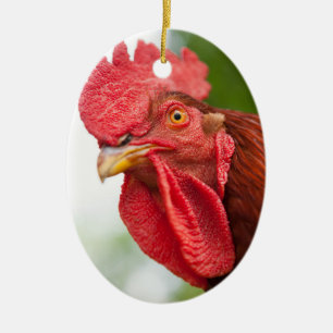Rhode island Red Tupp Julgransprydnad Keramik