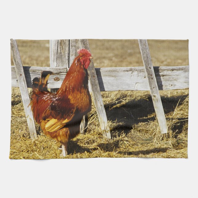 Rhode Island Red Tupp Kökshandduk (Horisontell)