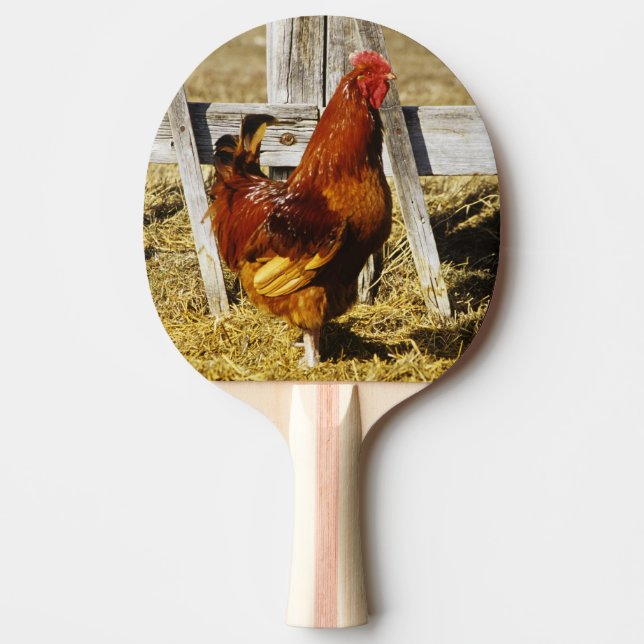 Rhode island Red Tupp Pingisracket (Framsidan)