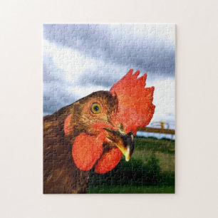 Rhode island Red Tupp Pussel