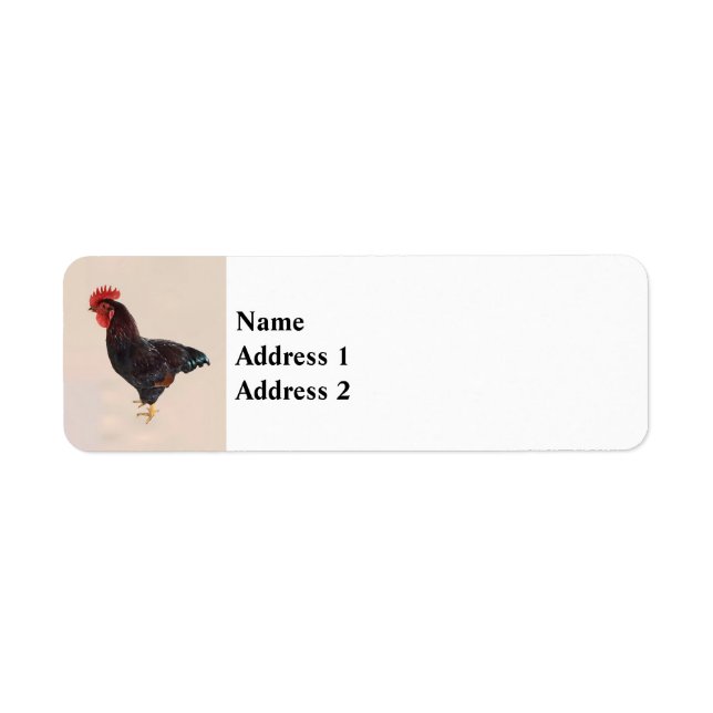 Rhode island Red Tupp Returadress Etikett (Framsidan)