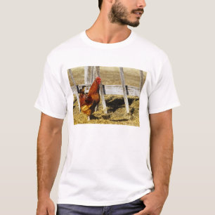 Rhode Island Red Tupp Tee