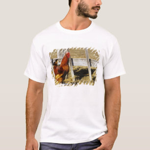 Rhode Island Red Tupp Tee