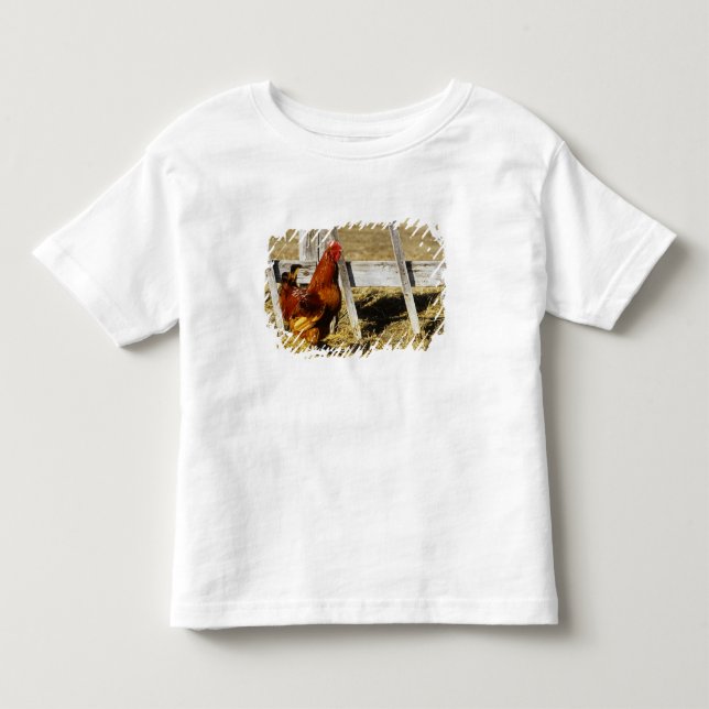Rhode Island Red Tupp Tee Shirt (Framsida)