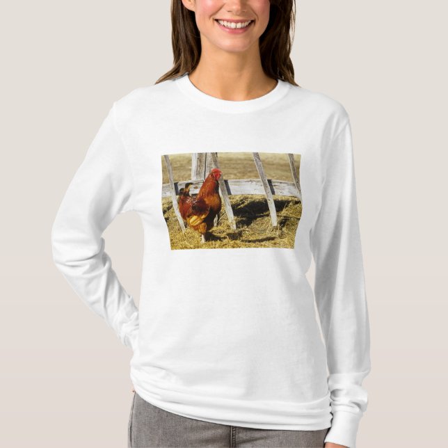 Rhode Island Red Tupp Tee Shirt (Framsida)