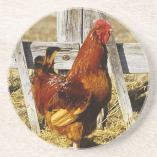 Rhode Island Red Tupp Underlägg Sandsten
