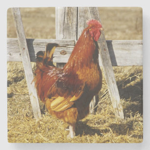Rhode Island Red Tupp Underlägg Sten