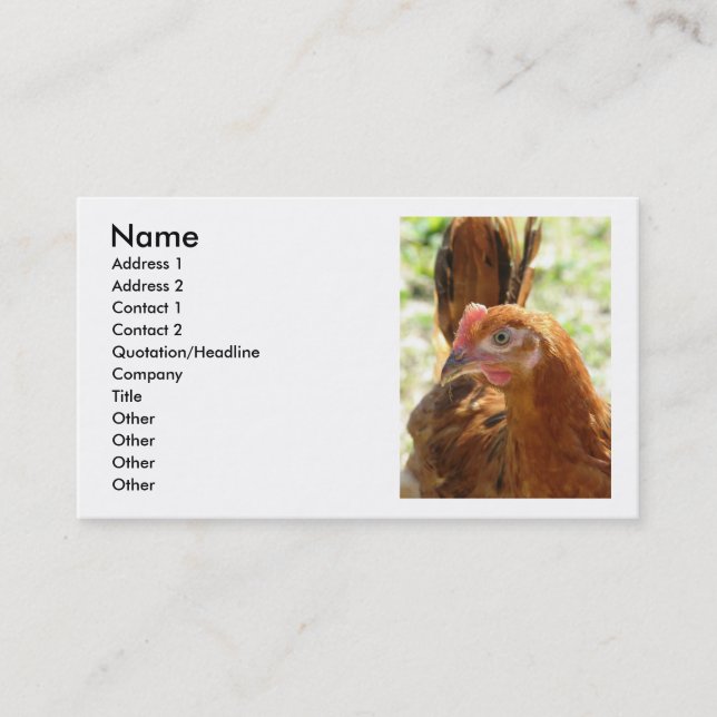Rhode island Red Visitkort (Framsida)
