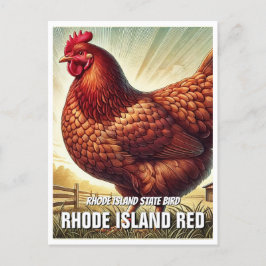 Rhode island State Bird Rhode island Red Vykort