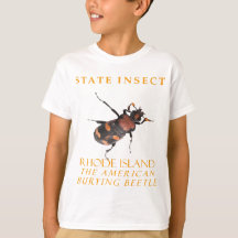 Rhode Island territori insekten Den amerikanska be