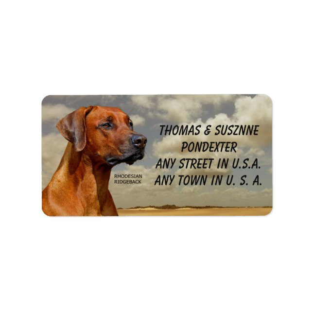RHODESIAN RIDGBACK ADRESSETIKETT (Framsidan)