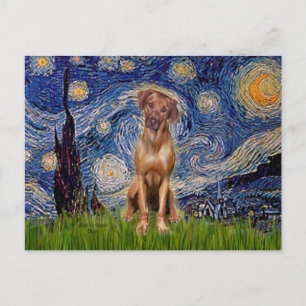 Rhodesian Ridgeback 1 - Starry Natt Vykort