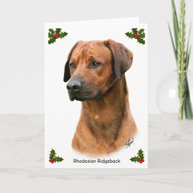 Rhodesian Ridgeback 9Y338D-039 Helgkort (Framsida)