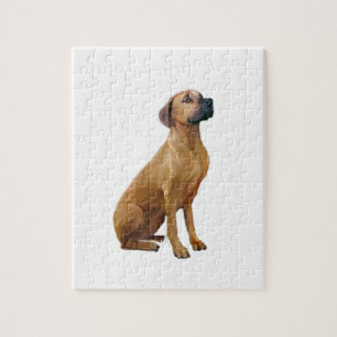 Rhodesian Ridgeback (A) Pussel