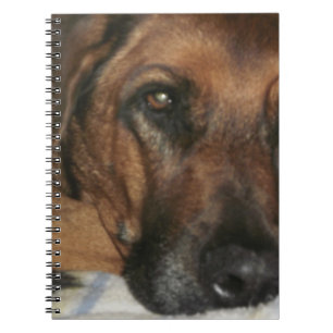 Rhodesian Ridgeback Anteckningsbok Med Spiral