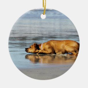 Rhodesian Ridgeback - är vatten kall? Julgransprydnad Keramik