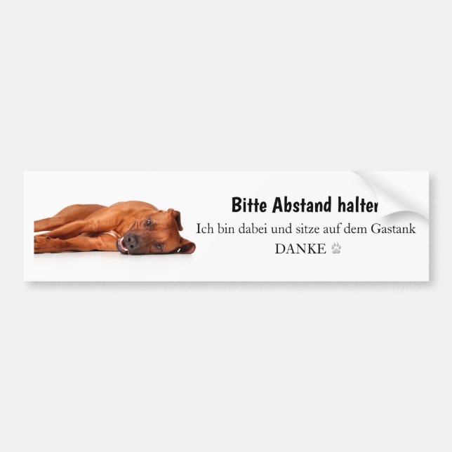 Rhodesian Ridgeback Autoaufkleber Bildekal (Framsidan)