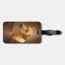 Rhodesian Ridgeback