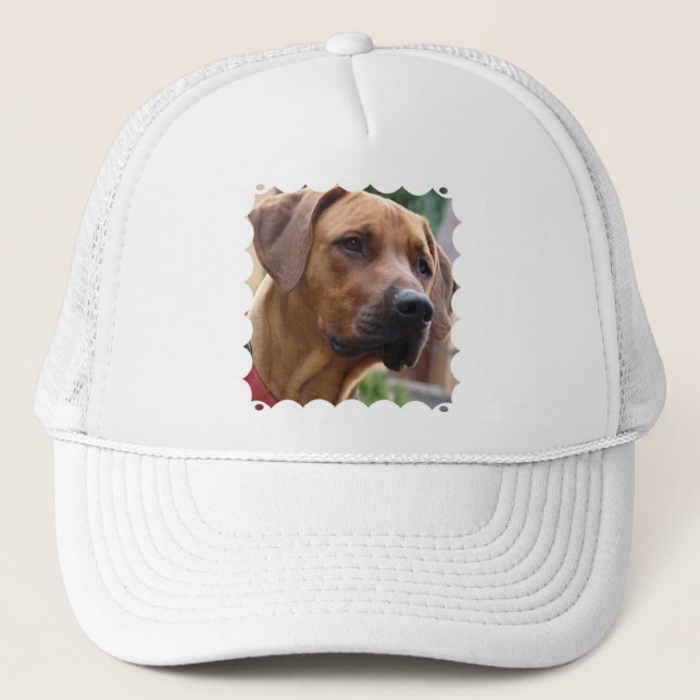 Rhodesian Ridgeback baseballhatt Keps (Framsida)